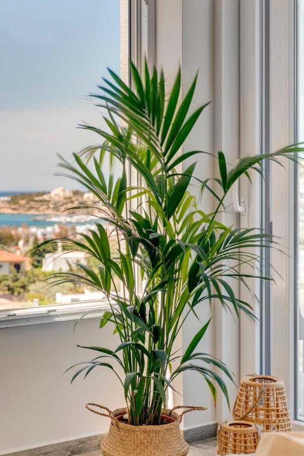 Villa Mare Syros Finikas  Luaran gambar